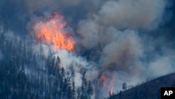 FILE - Flames rise amid the heavy smoke as a wildland fire burns over ridges near the Ken Caryl Ranch development southwest of Littleton, Colorado, July 31, 2024.