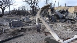 ဟာဝိုင်အီကျွန်း တောမီးကြောင့် သေဆုံးသူ ၁၀၀ နီးပါး အတည်ပြု
