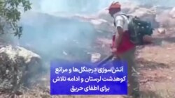 آتش‌سوزی درجنگل‌ها و مراتع کوهدشت لرستان و ادامه تلاش برای اطفای حریق 