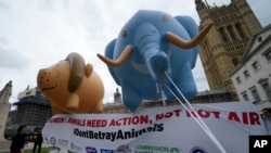 FILE - Animal rights activists hold onto inflatable ballons in the shape of a lion and an elephant in support of an animal protection bill being considered by Parliament in London on April 27, 2022.