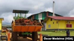 Fábrica de óleo de palma, Agripalma, São Tomé e Príncipe