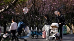 上海一个公园里父母推着婴儿车赏春。（2023年4月2日）