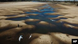 FILE - Birds fly over a man taking photos of the exposed riverbed of the Old Parana River, a tributary of the Parana River during a drought in Rosario, Argentina, July 29, 2021.