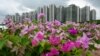 Malaysia's Forest City Teeters Over China Property Giant Woes 