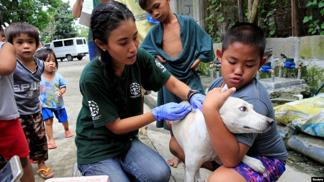 FILE: Seorang anggota Humane Society International (HSI) memberikan vaksin anti-rabies pada seekor anjing sebagai bagian dari upaya vaksinasi massal dalam rangka memperingati Hari Rabies Sedunia di Payatas, metro Manila, Filipina, 26 September 2017. (REUTERS/Romeo Ranoco)