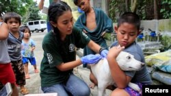 FILE: Seorang anggota Humane Society International (HSI) memberikan vaksin anti-rabies pada seekor anjing sebagai bagian dari upaya vaksinasi massal dalam rangka memperingati Hari Rabies Sedunia di Payatas, metro Manila, Filipina, 26 September 2017. (REUTERS/Romeo Ranoco)