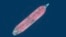 This handout satellite image obtained courtesy of Maxar Technologies on July 19, 2020 shows a close up view of the FSO Safer oil tanker on June 19, 2020 off the port of Ras Isa.