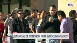 A debate propuesta para que indocumentados reciban licencia de conducir en Texas