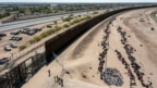 Di dân sắp hàng bên ngoài hàng rào biên giới chờ được chở đến một cơ sở của Tuần tra Biên giơi Mỹ ở El Paso, Texas, ngày 10/5/2023.