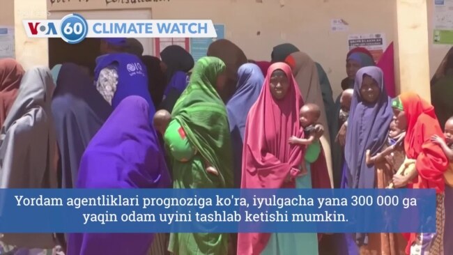 60 soniya ichida: rekord darajada issiq qish, Afrikada qurg'oqchilik