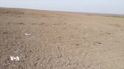 بەشێک لە گوندە کشتوکاڵییەکانی عێراق بەرەو بیابانبوون دەچن