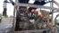 In this photo released by the Rescue 1122 Emergency Department, rescue workers examine a burnt bus in Pindi Bhattian, Pakistan, Aug. 20, 2023.