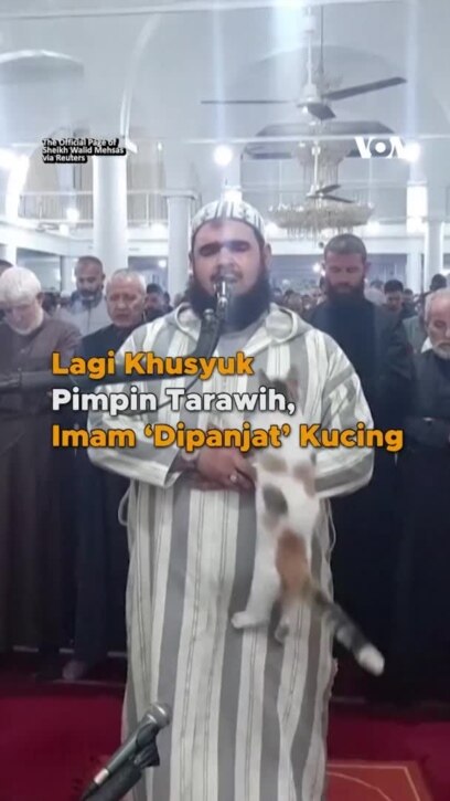 Lagi Khusyuk Pimpin Tarawih, Imam 'Dipanjat' Kucing
