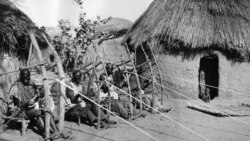 Waraniéné, Korhogo mara gesedalaw