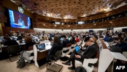 Delegates attend the opening day of the 77th World Health Organization (WHO) World Health Assembly in Geneva on May 27, 2024.