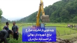 ویدئویی از تخریب مزارع برنج شهروندان بهائی در احمدآباد مازندران