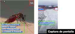 Comparación entre el primer fotograma del video viral y un fotograma de un artículo real de Euronews en Facebook.