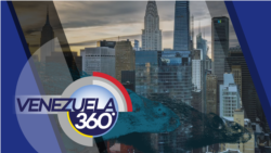 Venezuela 360: Nueva York lidera la lucha contra el aumento de ratas en EEUU

