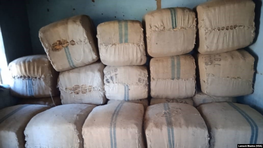 In this photo taken in June 2023, tobacco bales sit ready for sale in Katenje village in the Kasungu district of Malawi.