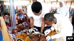 FILE - Health officials attend to children suffering malnutrition in a clinic set up by health authorities in collaboration with Medecins Sans Frontieres or Doctors Without Borders (MSF) at Mashi council of Katsina State, northwest Nigeria, July 22, 2022.