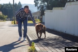 Leonel Costa pasea al perro, Bobi, que rompió el récord del perro más adulto de la historia, en Conqueiros, en Leiria, Portugal, el 4 de febrero de 2023. REUTERS/Catarina Demony