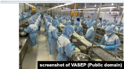 Hoạt động sản xuất tại hãng Vina Cleanfood, theo VASEP.