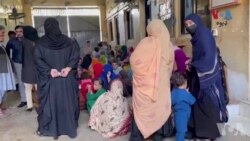 سیند صوبې کې د افغان کډوالو نیونې دوام لري