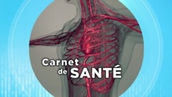 Carnet de Santé : l'impact du bonheur sur notre bien être 