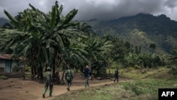 Les Forces armées de la RDC sont accusées depuis mi-2022 de collaborer avec les FDLR, principalement Hutu, pour endiguer l'avancée des rebelles du M23, dirigés par des Tutsi.