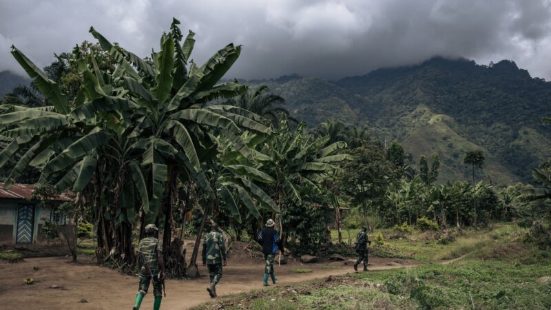 Cinq morts dans une attaque des ADF dans l'est de la RDC