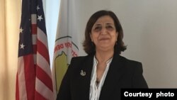 Sînem Mihemed , Nûnera Meclîsa Sûrîya Demokratîk (MSD) ya Washingtonê