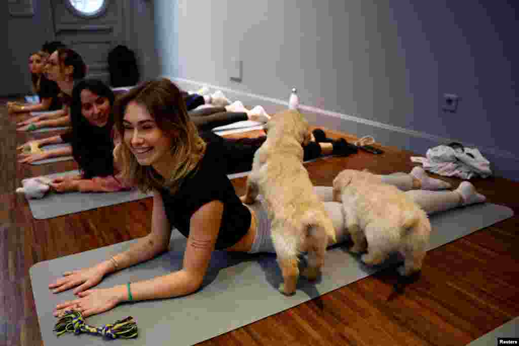 Participants perform a yoga exercise as Golden Retriever puppies play around them during a yoga class at a studio in Paris, France, Dec. 20, 2023. 