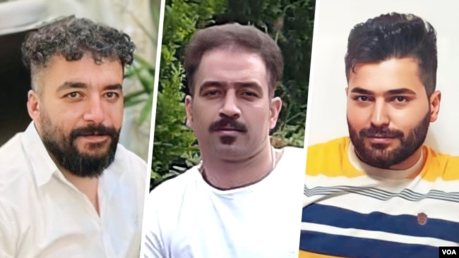 مجید کاظمی، سعید یعقوبی و صالح میرهاشمی