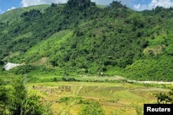 An undated photo shows rice paddies where rare earth processing factory is planned near Nam Xe mine in Lai Chau province in Vietnam. (REUTERS)