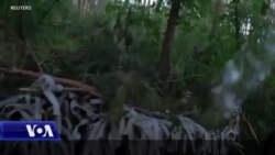 Rusia hap front të ri ndërsa Ukraina pret armët perëndimore
