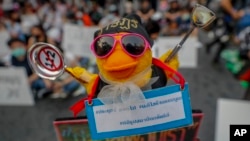 资料照：泰国支持民主人士在曼谷的集会上手举一个作为民主抗议运动象征的黄色小鸭子。（2921年3月24日）