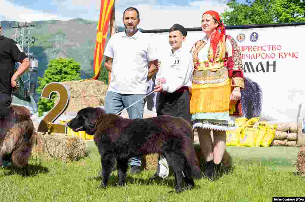 Exhibition of Macedonian shepherds dog Karaman (Изложба на македонско автохтоно овчарско куче караман)