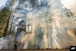 A firefighter monitors a burn operation on Highway 32 to combat the Park Fire near Forest Ranch, Calif., Sunday, July 28, 2024. (AP Photo/Nic Coury)