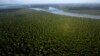 Support Grows for Sustainable Development, a 'Bioeconomy,' in the Amazon