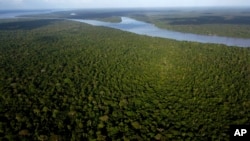 FILE - A view of the forest on Combu Island on the banks of the Guama River, near the city of Belem, Para state, Brazil, Aug. 6, 2023.