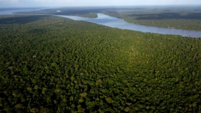 Scientists Try Listening to Learn about Wildlife