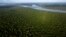 FILE - A view of the forest on Combu Island on the banks of the Guama River, near the city of Belem, Para state, Brazil, Aug. 6, 2023.