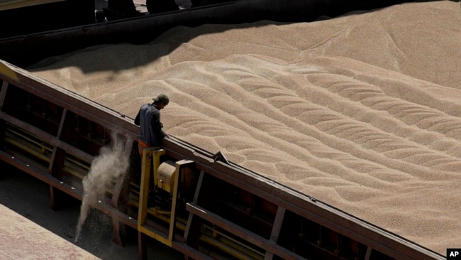 FILE - An employee of the Romanian grain handling operator Comvex oversees the unloading of Ukrainian cereals from a barge in the Black Sea port of Constanta, Romania, June 21, 2022.