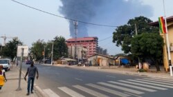  Guinee, Conakry sigidadenw ni lakanabagaw karila nyogona kuran tigelen kofe