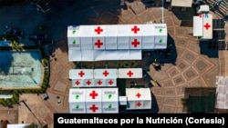 La organización "Guatemaltecos por la Nutrición" está implementando proyectos innovadores, como los "Campamentos Nutrimóviles", para proporcionar atención médica y nutricional a comunidades.