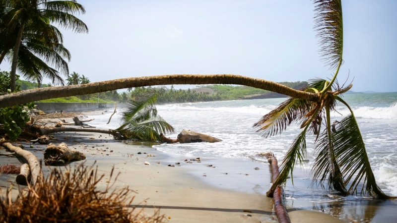 Hurricane Beryl destroys homes, uproots trees in Grenada