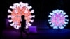 FILE - A visitor walks past a coronavirus (COVID-19) model as he visits the "Mini-Worlds on the Way of Illumination" exhibition at the Jardin des Plantes in Paris, France, November 12, 2022. (REUTERS/Gonzalo Fuentes) 