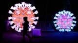 FILE - A visitor walks past a coronavirus (COVID-19) model as he visits the "Mini-Worlds on the Way of Illumination" exhibition at the Jardin des Plantes in Paris, France, November 12, 2022. (REUTERS/Gonzalo Fuentes) 