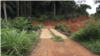 Voiries et eau potable : des équipements américains pour les localités camerounaises