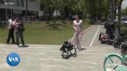 Un robot chinois pour faciliter l'indépendance des personnes malvoyantes